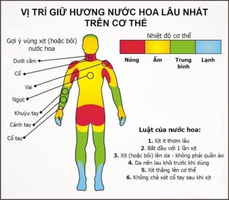 Cách dùng nước hoa 3